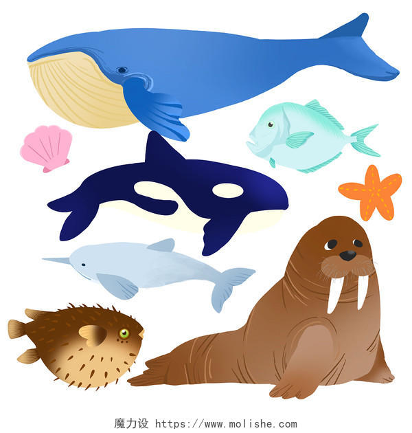 保护环境保护海洋海洋动物图谱PNG素材世界海洋日